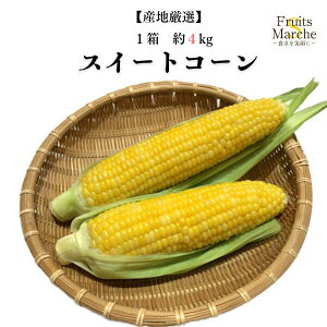 yzyYnIzƂ낱 XC[gR[@1@4kg (kCʓrZ)