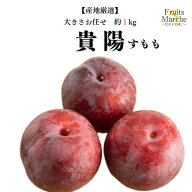 【送料無料】【産地厳選】貴陽　すもも(プラム)　家庭用　大きさお任せ　約1kg(北海道沖縄別途送料加算)