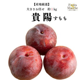【送料無料】【産地厳選】貴陽　すもも(プラム)　家庭用　大きさお任せ　約1kg(北海道沖縄別途送料加算)