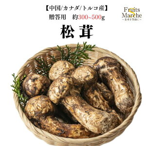 yzy/Ji_/gRYzp@@@300g`500g(kCʓrZ)