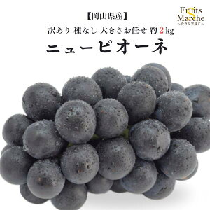 yzyRYz󂠂@Ȃj[sI[l@傫C@1@2kg(kCʓrZ)