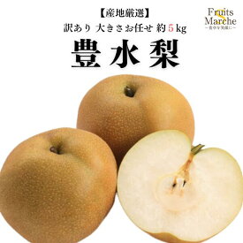 【送料無料】【産地厳選】訳あり　豊水梨　大きさおまかせ　約5kg(北海道沖縄別途送料加算)