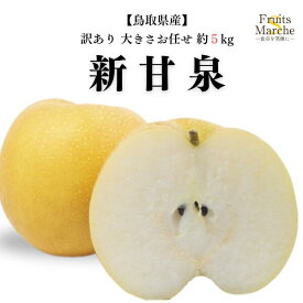 【送料無料！】新甘泉 なし 梨 しんかんせん 約5kg 訳あり 大きさお任せ 家庭用 鳥取県産 送料無料（北海道・沖縄県は別途送料加算）