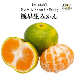 yzy{Yz󂠂 ɑ݂@傫܂ 5kg(kCʓrZ)