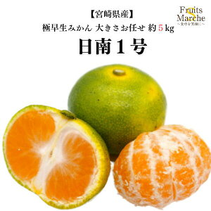 yzy{茧Yz1@傫C@5kg(kCʓrZ)