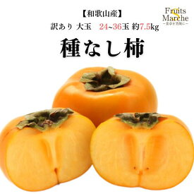 【送料無料】【和歌山県産】訳あり 種なし柿 大玉サイズ 24〜36玉 約7.5kg(北海道沖縄別途送料加算)