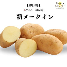 【送料無料】【産地厳選】新メークイン　Lサイズ　約5kg(北海道沖縄別途送料加算)
