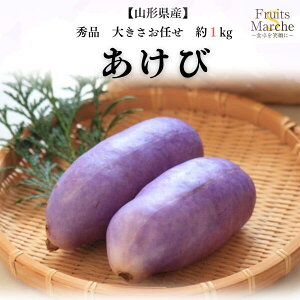 【送料無料】【山形県産】秀品 あけび 木通(アケビ)大きさおまかせ 4〜9玉前後 約1kg(北海道沖縄別途送料加算)