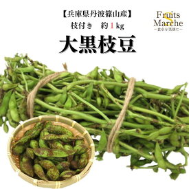 【送料無料！】枝付き大粒黒豆枝豆 黒枝豆 黒豆枝豆 枝豆 枝付き 約1kg えだまめ 丹波篠山 兵庫県産 送料無料 （北海道・沖縄県は別途送料加算）