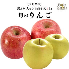 【送料無料】旬のりんご りんご 約4kg 訳あり トキりんご他 大きさお任せ 長野りんご 長野県産 送料無料 （北海道・沖縄県は別途送料加算）