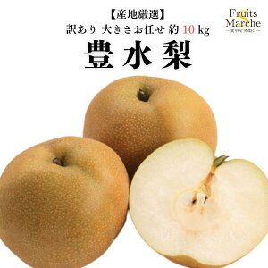 yzyYnIz󂠂@L@傫܂@10kg(kCʓrZ
