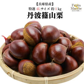 【送料無料】【兵庫県産】丹波篠山栗　特撰　4Lサイズ 約1kg(北海道沖縄別途送料加算)