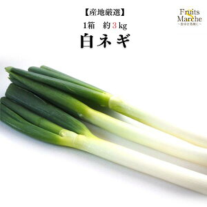 yzyYnIzlM@1@3kg@L~3LTCYikCʓrZj