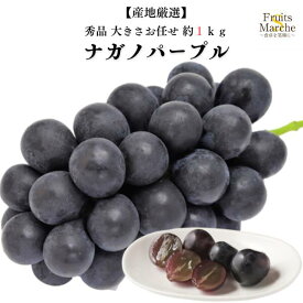 【送料無料】【産地厳選】秀品 ナガノパープル 大きさお任せ　約1kg(北海道沖縄別途送料加算)