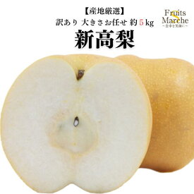 【送料無料】【産地厳選】訳あり　新高梨　大きさおまかせ　約5kg(北海道沖縄別途送料加算)
