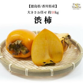【送料無料！】渋柿 吊るし柿 干し柿 用 柿 かき 約10kg 大きさお任せ 徳島県産 香川県産 送料無料（北海道・沖縄県は別途送料加算）