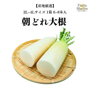 yIz卪 ̂卪  1 6{`8{ 2L`4LTCY {Y ikCEꌧ͕ʓrZj