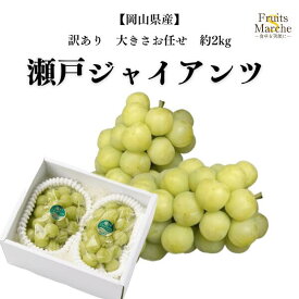 【送料無料！】瀬戸ジャイアンツ 岡山 ぶどう 約2kg 訳あり 大きさお任せ 岡山県産 送料無料 （北海道・沖縄県は別途送料加算）