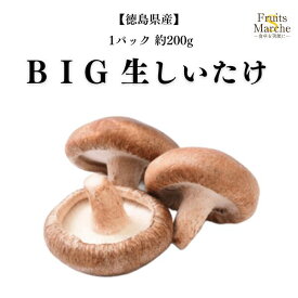 【送料別】【徳島県産】 BIG 生しいたけ 1パック 約200g 【野菜詰め合わせセットと同梱で送料無料】【送料別】