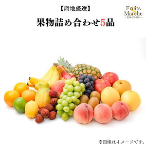 yz{̉ʕlߍ킹Zbg5i(kCʓrZ)