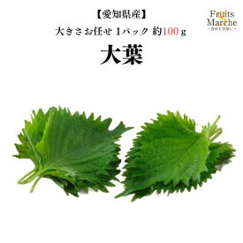 【送料別】【愛知県産】大葉　大きさお任せ 1パック 100枚入 約100g 【野菜詰め合わせセットと同梱で送料無料】