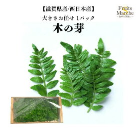 【送料別】【滋賀県/西日本産】木の芽 大きさお任せ 山椒の若芽 1パック【野菜詰め合わせセットと同梱で送料無料】