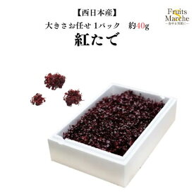 【送料別】【西日本産】紅たで　紅立 1パック　約40g　【野菜詰め合わせセットと同梱で送料無料】