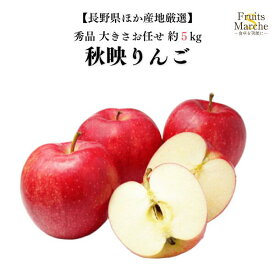 【送料無料】【長野県ほか産地厳選】秀品　秋映りんご　大きさお任せ　約5kg(北海道沖縄別途送料加算)