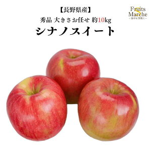 yIzVimXC[g   Gi 10kg 傫C 쌧Y  ikCEꌧ͕ʓrZj