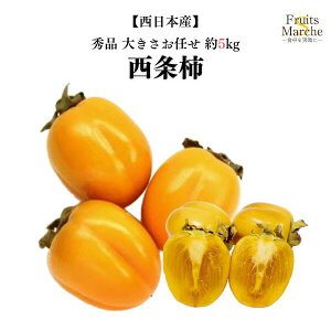 yIz` `  5kg Gi 傫C {Y ikCEꌧ͕ʓrZj