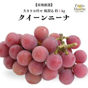 【送料無料】【産地厳選】クイーンニーナ 大きさおまかせ 風袋込 約1kg(北海道沖縄別途送料加算)