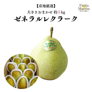 yz[lEN[N m mȂ 5kg 傫C 悤Ȃ YnI ikCEꌧ͕ʓrZj