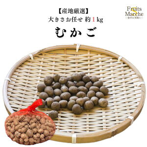 yzyYnIzނ@傫C 1kg(kCʓrZ)