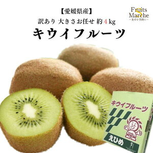 yzyQYz󂠂 O[LECt[c 傫܂ ܍ 4kg(kCʓrZ)