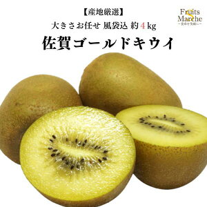 yzyYnIzS[hLECt[c 傫܂ ܍ 4kg(kCʓrZ)