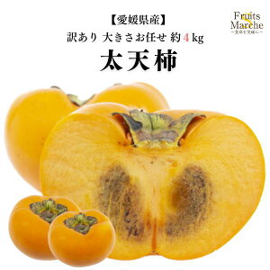 yzyQYz󂠂@V`@傫܂@܍4kg(kCʓrZ)