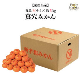 【送料無料！】みかん 真穴みかん 約5kg 秀品 Mサイズ 愛媛県産 柑橘類 送料無料（北海道・沖縄県は別途送料加算）