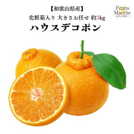 【送料無料】【和歌山県産】贈答ハウスデコポン　ハウス栽培　ありだAQ 化粧箱入 風袋込み 約3kg 大きさおまかせ (北海道沖縄別途送料加算)