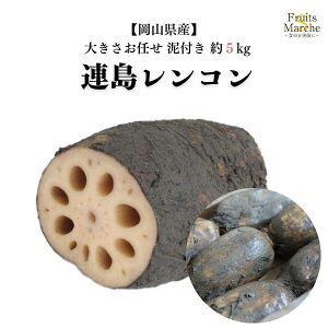 yzyRYzDt A񂱂@傫C@5kgikCʓrZj