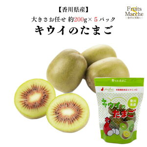 yzy쌧YzLEC@LEĈ܂ 傫܂ 200g×5pbN(kCʓrZ)