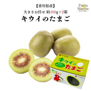 yzy쌧YzLEC@LEĈ܂ 傫܂ 400g×2(kCʓrZ)