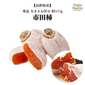 【送料無料】【長野県産】秀品　市田柿　大きさお任せ　約500g【ネコポス】