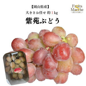 yzyRYzԂǂ@傫܂@󂠂@1kg(kCʓrZ)