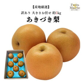 【送料無料】【産地厳選】訳有　あきづき梨　家庭用　大きさおまかせ　約5kg(北海道沖縄別途送料加算)