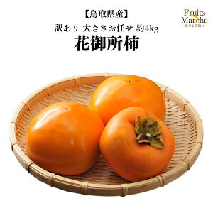 yzy挧Yz󂠂 Ԍ䏊` p 傫܂ 4kg(kCʓrZ)