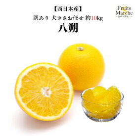 【送料無料】【西日本産】訳あり　八朔　大きさお任せ　約10kg(北海道沖縄別途送料加算)