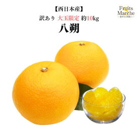 【送料無料】【西日本産】訳あり　八朔　大玉限定　約10kg(北海道沖縄別途送料加算)