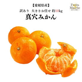 【送料無料！】みかん 真穴みかん 約10kg 訳あり 大きさお任せ 愛媛県産 送料無料（北海道・沖縄県は別途送料加算）