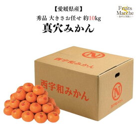 【送料無料】【愛媛県産】秀品　真穴みかん　ブランドみかん　大きさお任せ　1箱　約10kg(北海道沖縄別途送料加算)