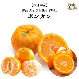【送料無料】【西日本産】秀品　ポンカン　大きさお任せ　約5kg(北海道沖縄別途送料加算)